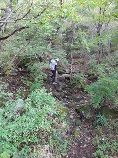 20191020_072149.jpg