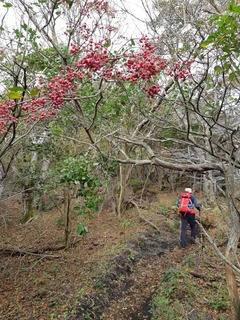 20191020_083233.jpg