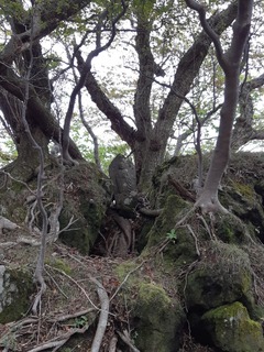 20191020_124045.jpg