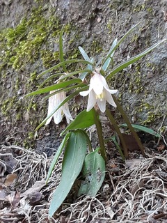 20200320_105530.jpg