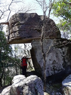 20200320_120859.jpg