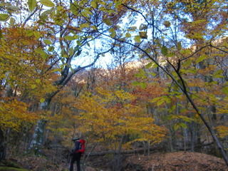 CIMG0493.JPG
