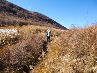CIMG0501.JPG