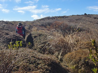 CIMG0534.JPG