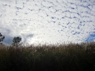 CIMG0592.JPG
