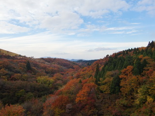 CIMG0605.JPG
