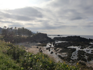 CIMG2705.JPG