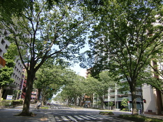 CIMG4087.JPG
