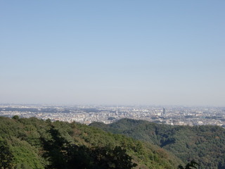 CIMG5260.JPG