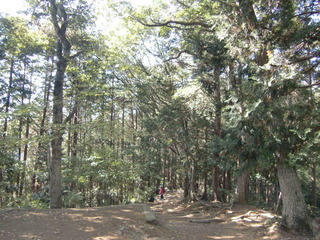 CIMG5262.JPG