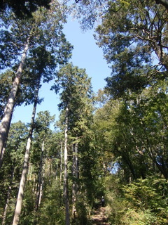 CIMG5264.JPG