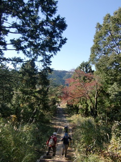 CIMG5274.JPG