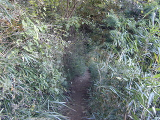 CIMG5306.JPG