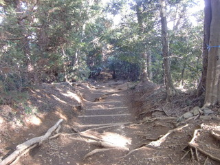 CIMG5309.JPG