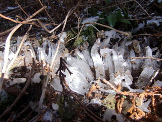 CIMG5732.JPG
