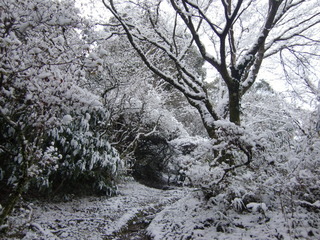 CIMG5826.JPG