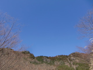 CIMG5867.JPG
