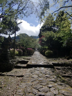 CIMG6602.JPG