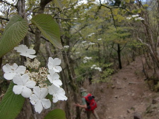 CIMG6632.JPG