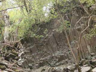 CIMG6636.JPG