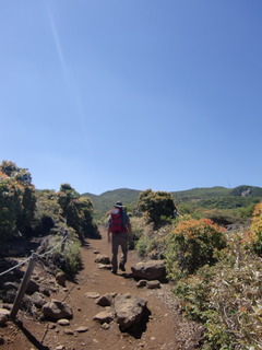CIMG6711.JPG