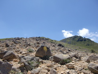 CIMG6726.JPG