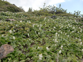 CIMG6753.JPG