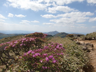 CIMG6768.JPG