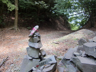 CIMG6838.JPG