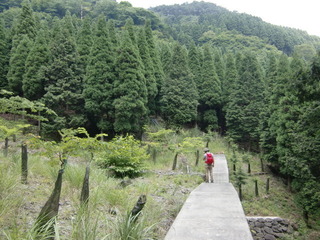 CIMG6867.JPG