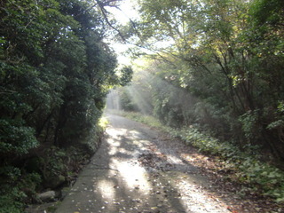 CIMG7610.JPG
