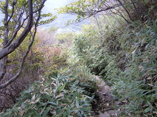 CIMG7676.JPG