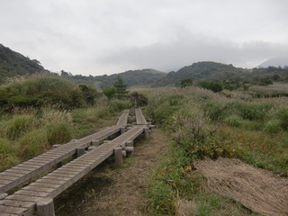 CIMG7684.JPG