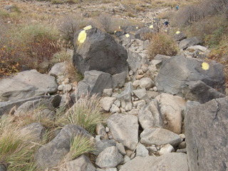 CIMG7764.JPG