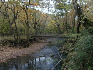 CIMG7898.JPG