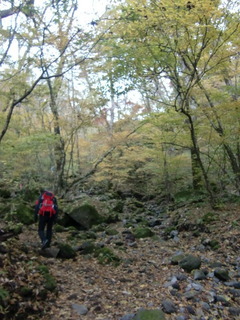 CIMG7905.JPG