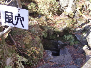 CIMG7929.JPG