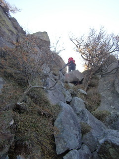 CIMG7938.JPG