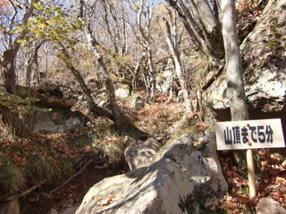 CIMG7965.JPG