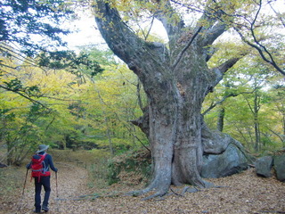 CIMG8017.JPG