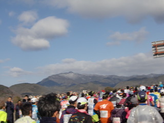 CIMG8682.JPG