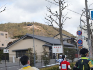 CIMG8687.JPG