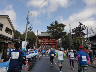 CIMG8688.JPG