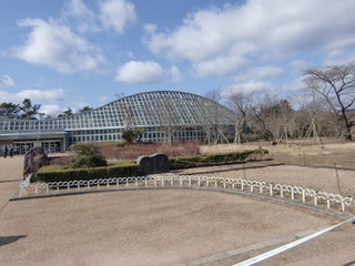 CIMG8692.JPG