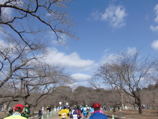 CIMG8693.JPG