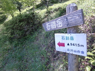 CIMG9204.JPG