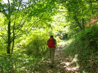 CIMG9207.JPG