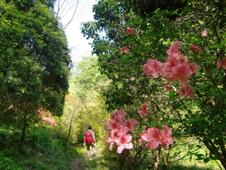 CIMG9257.JPG