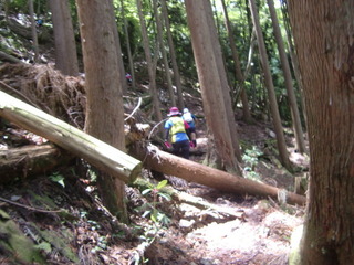 CIMG9390.JPG
