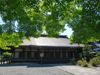 CIMG9497.JPG